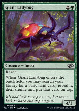 Giant Ladybug
