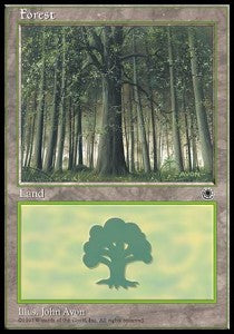 Forest (V.1)⁣ - Portal⁣ (Land)