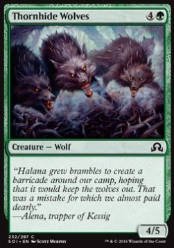 Thornhide Wolves - Shadows over Innistrad (Common) [SOI-232]
