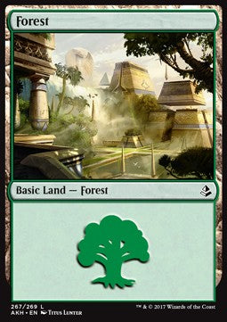 Forest (V.2)