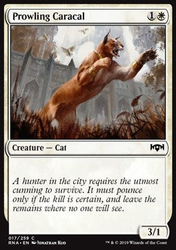 Prowling Caracal - Ravnica Allegiance (Common) [RNA-17]