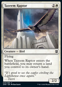 Tazeem Raptor - Zendikar Rising (Common) [ZNR-43]