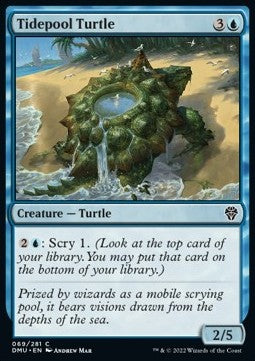 Tidepool Turtle - Dominaria United (Common) [DMU-69]